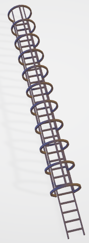 Cage Ladder